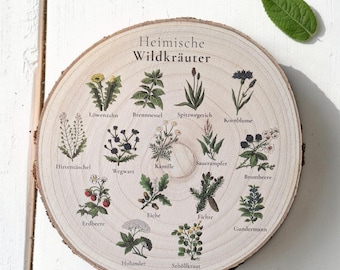 Rodaja de madera vintage "Plantas silvestres autóctonas" – Disco decorativo, ilustración botánica de hierbas y plantas del bosque, decoración natural, regalo de estilo rústico