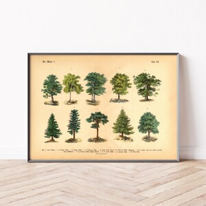 Vintage botanische poster met bomen | Bosillustratie kunstprint nostalgische wanddecoratie natuur