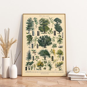 Vintage Poster Bäume | Wald Adolphe Millot 1
