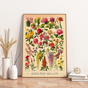 Póster Flores 2 | Plantas antiguas Adolphe Millot