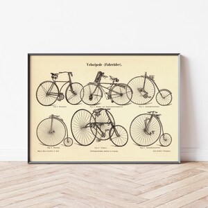Bicicletas de pôster vintage | Tipos de bicicletas