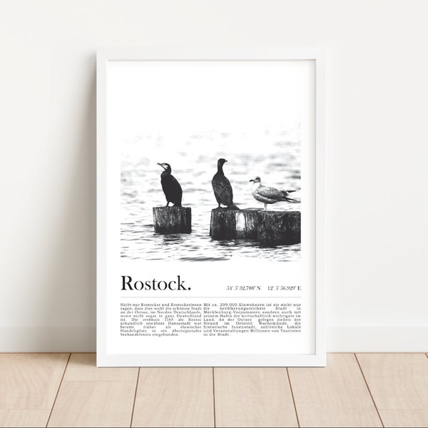 Poster Hansestadt Rostock | Ostsee Möwen Schwarz Weiß