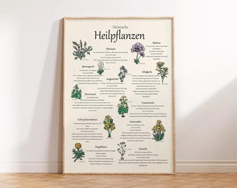 Op de afbeelding: Een ingelijste botanische print met illustraties van verschillende kruiden en planten, met Duitse tekst. De print heeft een beige achtergrond en een houten lijst. De illustraties zijn in groen, geel en paars.