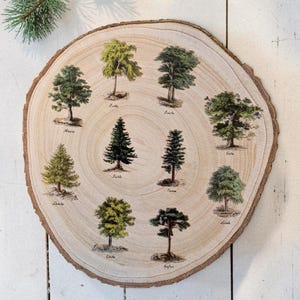 Baum rinde deko - Etsy.de