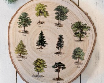 Vintage wooden slice depicting forest and trees, botanical illustration of woodland plants and shrubs, natural history decorative wooden picture, vintage nature wall decor