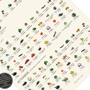 Dieses Poster eines Saisonkalenders für Obst und Gemüse auf französisch zeigt dir verschiedene Obst und Gemüse Pflanzen. Unter jeder Pflanze ist eine kleine Grafik zusehen, die dir verrät, wann welche Pflanze saisonal verfügbar ist.