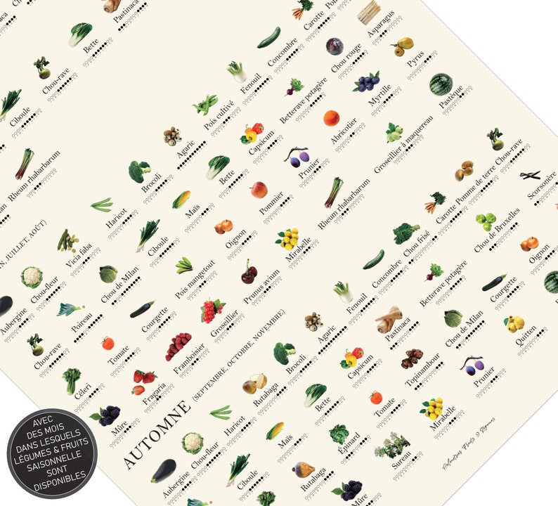 Dieses Poster eines Saisonkalenders für Obst und Gemüse auf französisch zeigt dir verschiedene Obst und Gemüse Pflanzen. Unter jeder Pflanze ist eine kleine Grafik zusehen, die dir verrät, wann welche Pflanze saisonal verfügbar ist.