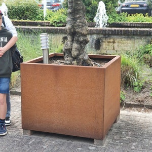 Pode incluir: Um vaso quadrado de metal marrom enferrujado com uma árvore crescendo dentro dele. O vaso está situado em um pátio de paralelepípedos.