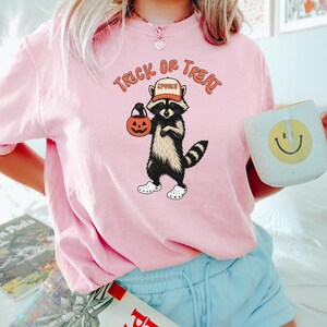 May include: Pink t-shirt with a Halloween-themed graphic. The design features a raccoon wearing a hat that says "Spooky" and holding a pumpkin bucket. The text "Trick or Treat" is arched above the raccoon.