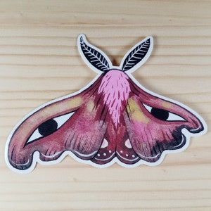 Moth sticker