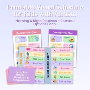 Programme visuel pour les enfants autistes | Graphique de la routine quotidienne | Routine du matin et du soir à imprimer | Routine visuelle pour les enfants