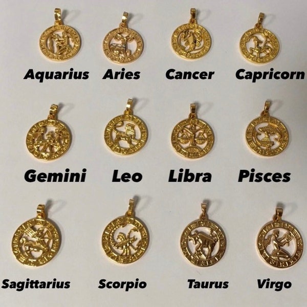 Circle Zodiac Necklace | Unisex Horoscope Birth Star Sign Coin Stainless Steel Pendant & Chain