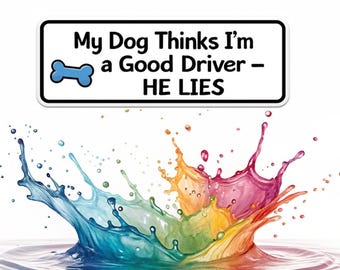 Funny Dog Driver Car Magnet Sticker - New Learner Gift Instructor Decal 20x6cm