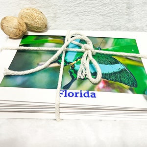 Wild Florida-Usa Natur Grußkarten