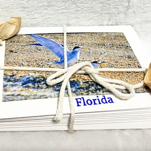 Aves de Florida- Tarjetas de felicitación de naturaleza de Estados Unidos
