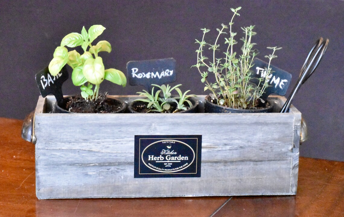 Kitchen Herb Garden Kit Etsy