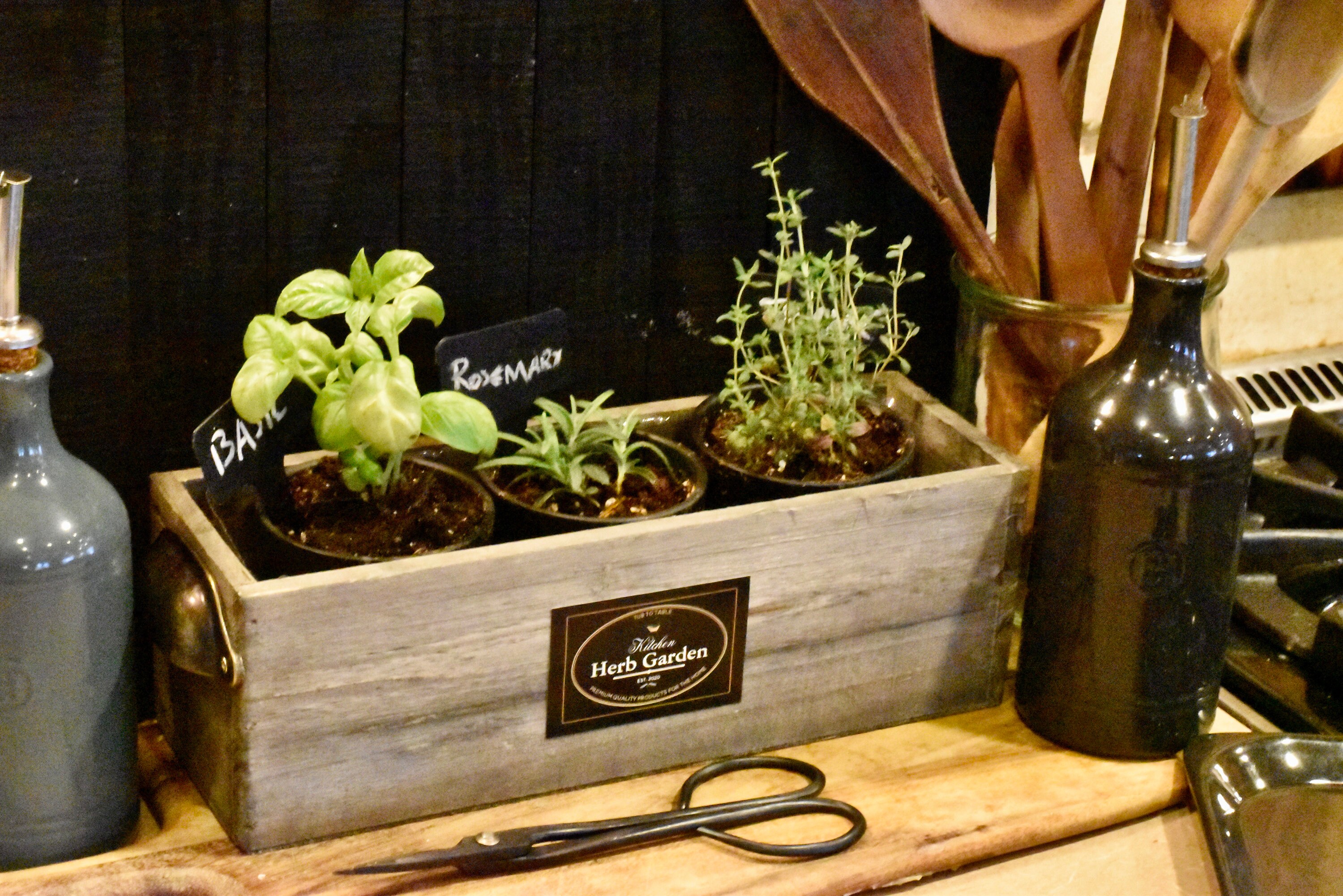 Kitchen Herb Garden Kit Etsy