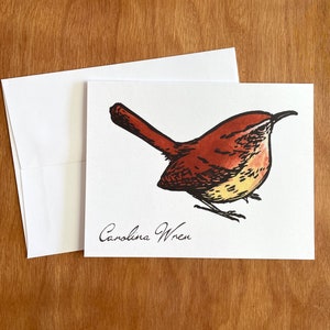 Carolina Wren - Set of 4 Blank Greeting Cards