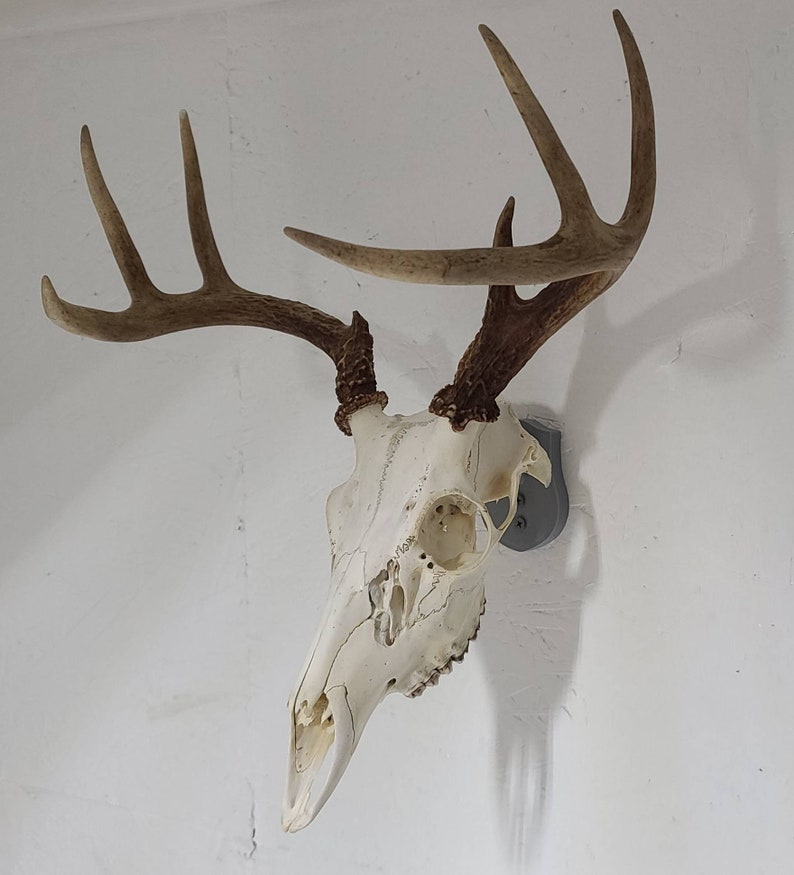 Euro Mount Hanger Bracket Plaque Hook Etsy