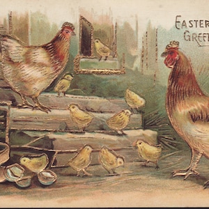 Antique Easter Postcard. Easter Greeting. Gold Gilt. Rooster. Hen. Chicks. Embossed.