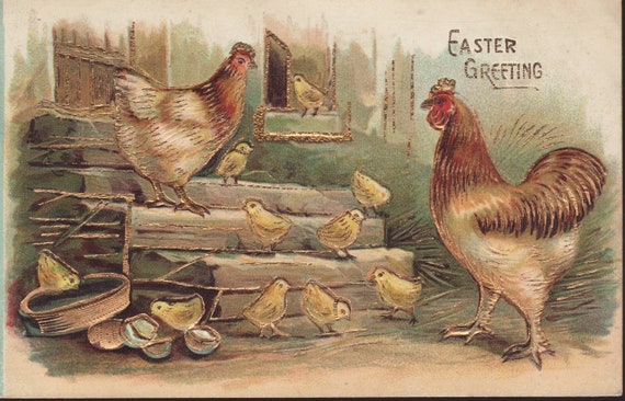 Rooster and Hen Postcard Rooster and Hen Postcard