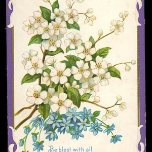 Antica cartolina di Pasqua. Fiori.
