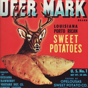 May include: A vintage label for Deer Mark brand Louisiana Porto Rican sweet potatoes. The label features a red background with a white deer head and antlers, two sweet potatoes, and the text "Deer Mark Brand Louisiana Porto Rican Sweet Potatoes U.S. No. 1 Net Wt. 50 Lbs. Packed by Opelousas Sweet Potato Co. Sunset, Louisiana."