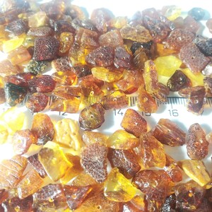 Loose raw flat Baltic Amber beads with holes multicolor 50 gr.