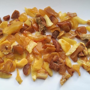 Loose amber stones baltic amber polished amber pieces amber chips amber accessory for aquarium egg yolk butterscotch yellow white 50 grams.