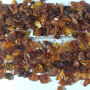 Loose raw flat Baltic Amber beads with holes multicolor 50 grams.