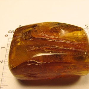 May include: A large, amber-colored, irregularly shaped piece of amber with visible inclusions. The amber is translucent and has a warm, honey-like color.