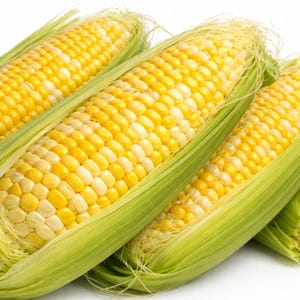 May include: Close-up of several ears of corn, showcasing vibrant yellow and white kernels. The corn is partially encased in green husks and silk, creating a fresh and natural appearance. The image highlights the texture and color of the corn.