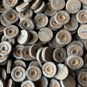 May include: A close-up shot of a pile of round, compressed soil discs. The discs are a light brown color with a textured surface and a central indentation. They appear to be seed starting pellets, used for gardening.