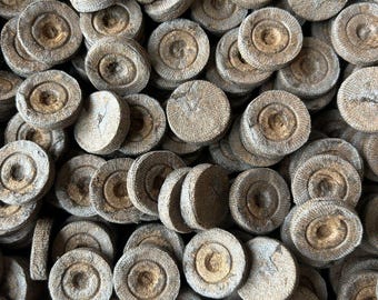 Jiffy Peat Pellets 25mm Seed Starting Pods Choose Quantity