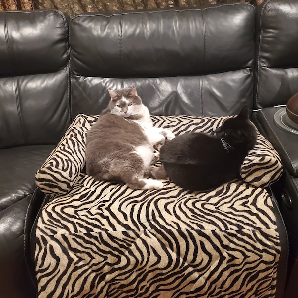 custom cat couch insert bed