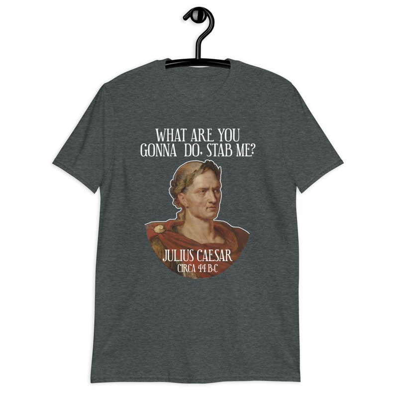 Sarcastic Julius Caesar Tshirt, Funny History Shirt, Ancient Roman Emperor, History Buff T-Shirt