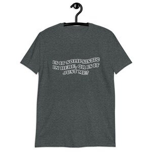 Puede incluir: Camiseta gris oscuro jaspeada con texto blanco que dice "Is it solipsistic in here, or is it just me?"