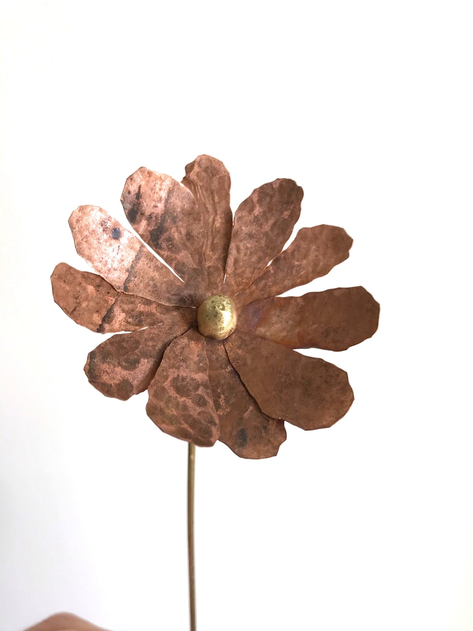 Marguerite en Cuivre