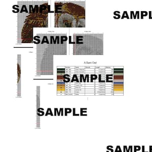 May include: A cross-stitch pattern for a barn owl. The pattern includes a color chart with DMC thread numbers and names, and a grid showing the placement of each stitch. The owl is depicted in shades of brown, green, and white.