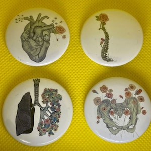 CADEAU UNIQUE D'INFIRMIÈRE, Collection de pièces de croissance, coeur, poumon, colonne vertébrale, bassin, bouton d'insigne d'infirmière