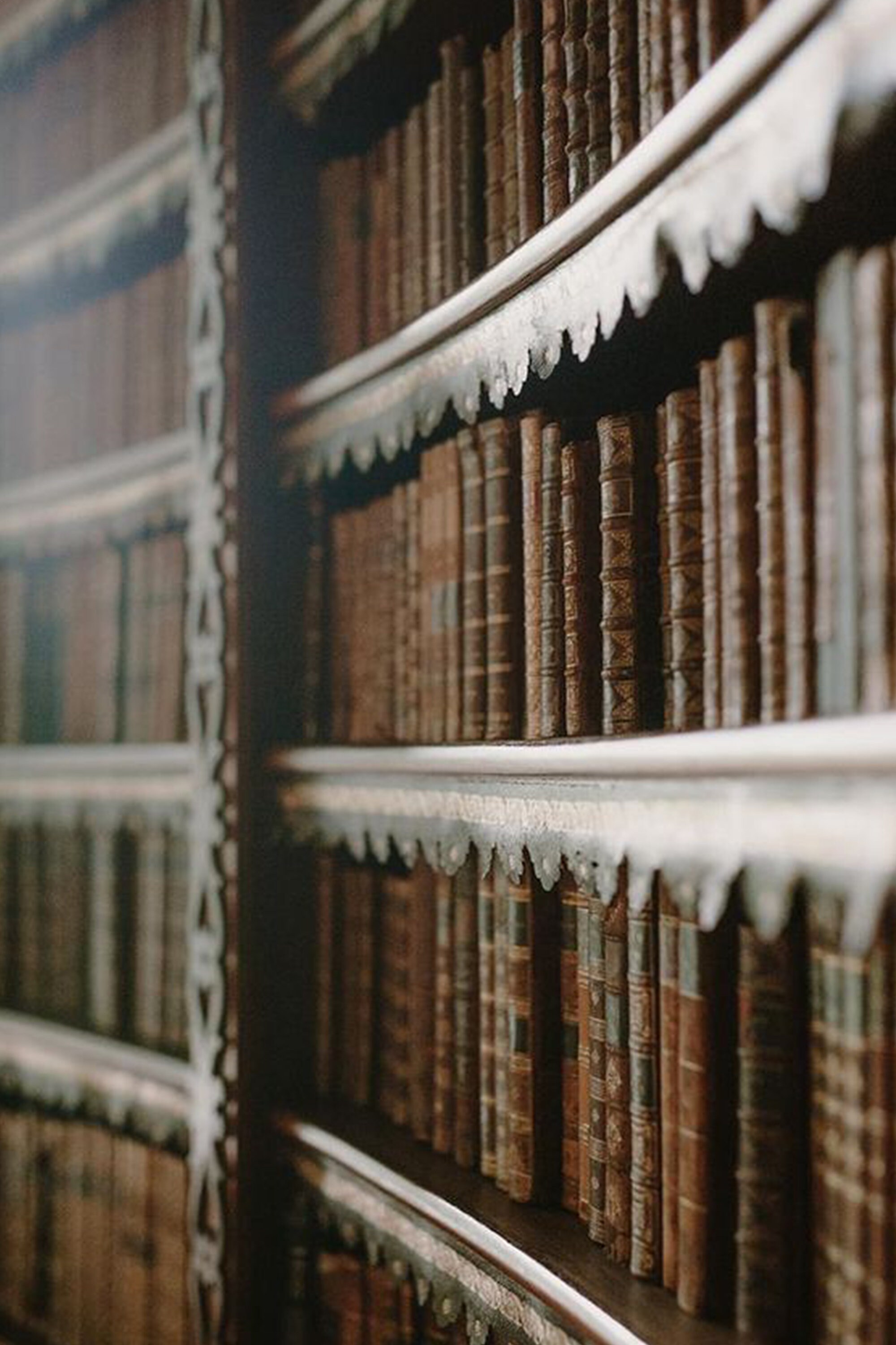 Dark academia decor Dark academia prints Wall collage kit Vsco | Etsy