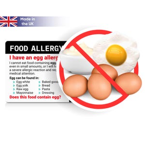 Allergiekaart voor eieren • Restaurantkaart in 50 talen • Zelfzorg • Back-up armband voor ei-allergie • Equal Eats • Reizen