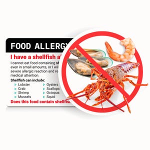 Carte de traduction sur les allergies aux fruits de mer • Choix parmi 50 langues • Allergy Travel Essential • Carte de chef en plastique sur les allergies aux fruits de mer