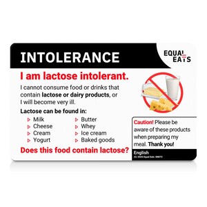 Tarjeta de intolerancia a la lactosa | Pedido en 50 idiomas | Tarjetas de traducción dietética de Equal Eats imagen 1