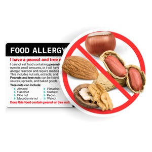 Carte de traduction sur les allergies aux arachides et aux noix • Choix parmi 50 langues • Carte en plastique Carte d'alertes allergiques • Traductions professionnelles • À manger égal