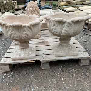 Tulip planters