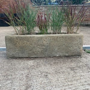 May include: A rectangular, weathered stone planter filled with ornamental grasses. The grasses have green and burgundy blades, creating a contrast against the grey stone. The planter is set on a concrete surface.