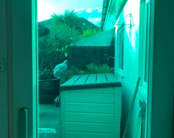 Green / Transparent Coloured Window Film / Window film / Green