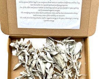 Californian Pure White Sage Loose Leaf Clusters Smudging FREE UK DELIVERY
