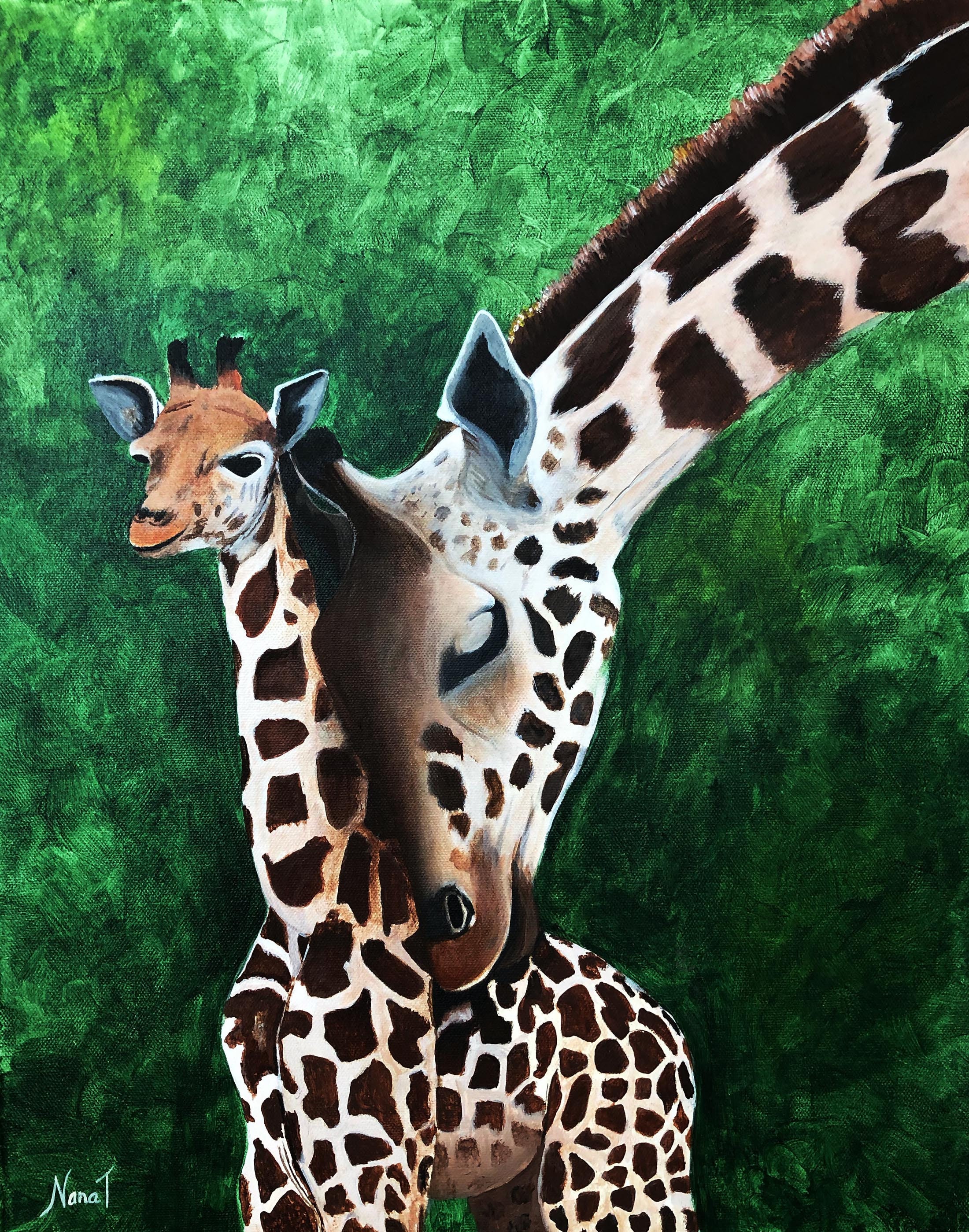 Giraffe Mom And Baby